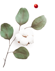 https://marinik.dk/wp-content/uploads/2020/10/floating_image_06.png