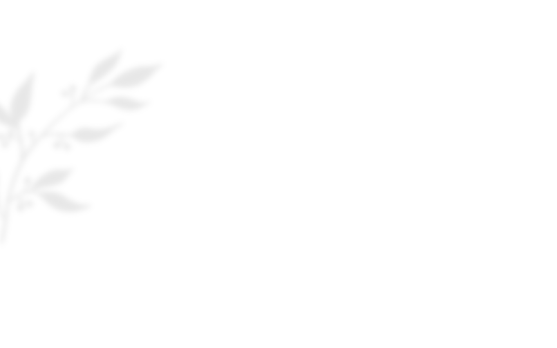 https://marinik.dk/wp-content/uploads/2020/10/shadow_leaves_03.png