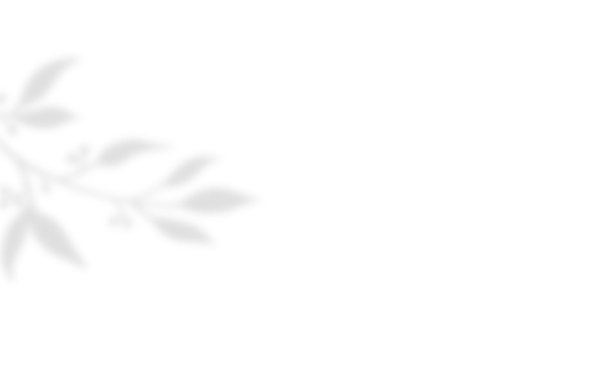 shadow_leaves_04 https://marinik.dk/wp-content/uploads/2020/10/shadow_leaves_04.png
