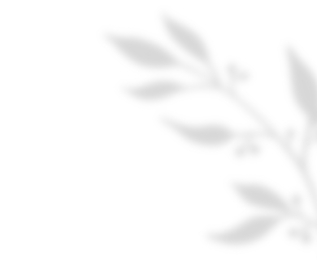 shadow_leaves_01 https://marinik.dk/wp-content/uploads/2020/11/shadow_leaves_01.png