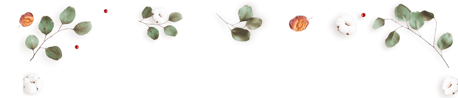 https://marinik.dk/wp-content/uploads/2020/12/floating_image_12.png