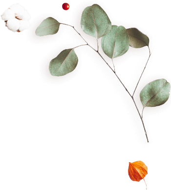 https://marinik.dk/wp-content/uploads/2020/12/floating_image_couples_05.png