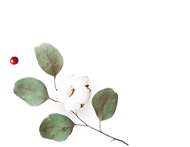 floating_image_flower_01 https://marinik.dk/wp-content/uploads/2020/12/floating_image_flower_01.png