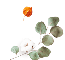 floating_image_flower_02 https://marinik.dk/wp-content/uploads/2020/12/floating_image_flower_02.png