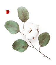 https://marinik.dk/wp-content/uploads/2020/12/floating_image_flower_03.png