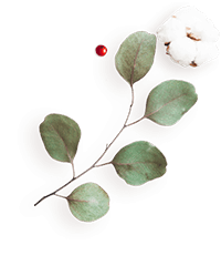 https://marinik.dk/wp-content/uploads/2020/12/floating_image_flower_04.png